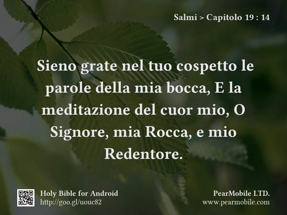 Salmi, Capitolo 19:14